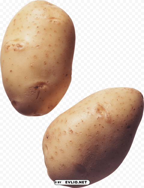 potato PNG with transparent background free