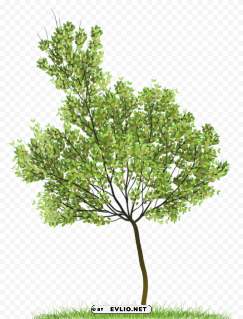  green tree Isolated Artwork on Transparent Background PNG