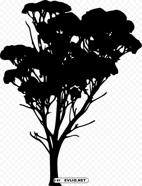 tree silhouette HighResolution Transparent PNG Isolated Item