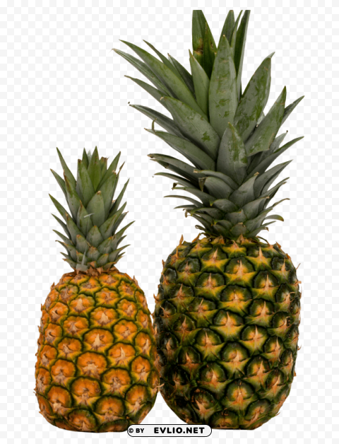 two pineapple Isolated Object on Clear Background PNG