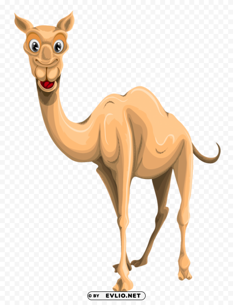 camel Isolated Illustration on Transparent PNG