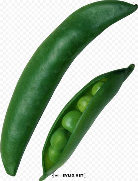 pea PNG graphics for presentations