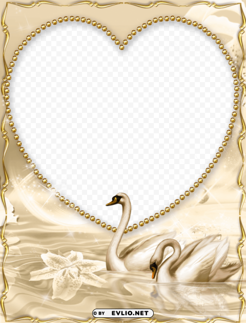 Beautiful Gold Borders And Frames Isolated Graphic In Transparent PNG Format