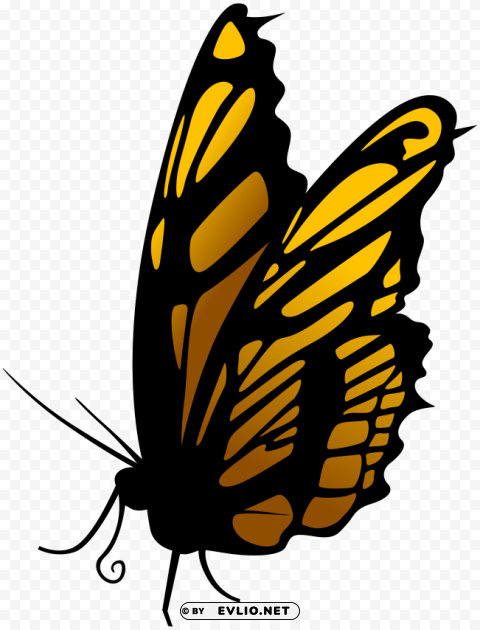 butterfly PNG Graphic Isolated with Transparency clipart png photo - 08c22349