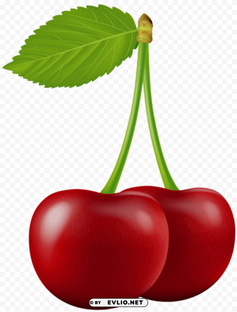 cherry PNG transparent images mega collection