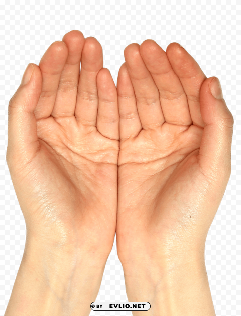 Hand Transparent PNG Isolated Artwork