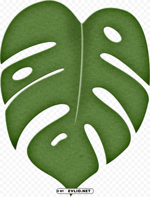jungle leaf PNG Graphic with Transparency Isolation