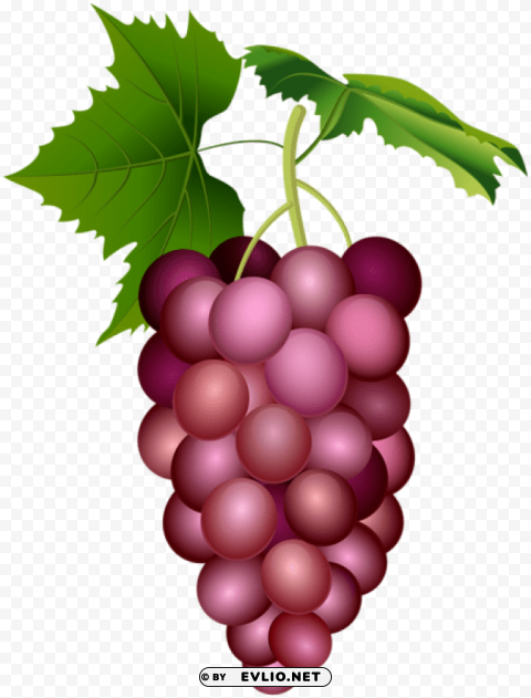 red grape PNG Image Isolated with High Clarity