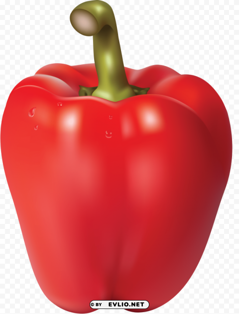 red pepper PNG Graphic Isolated on Clear Backdrop