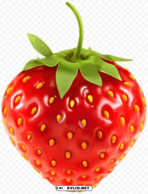 strawberry transparent Isolated Character in Clear Background PNG