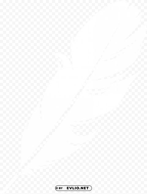 Feather PNG With Transparent Background Free