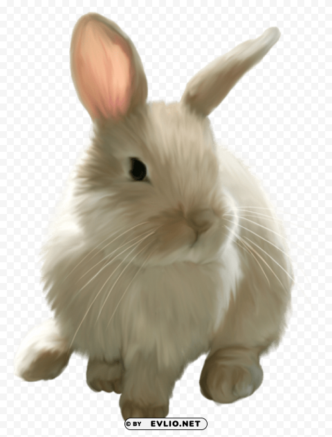cute painted bunny Isolated Graphic on Clear Background PNG