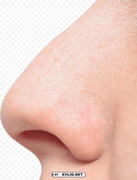 human nose PNG files with no backdrop required