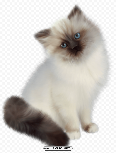 kitten transparent Isolated Subject with Clear PNG Background