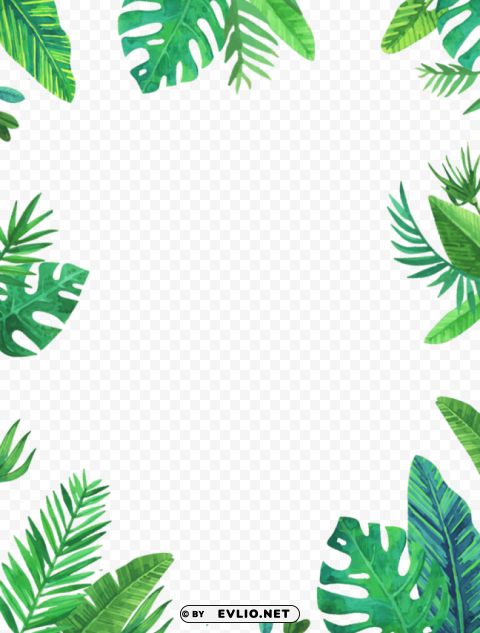 tropical frame PNG Image Isolated with Clear Background