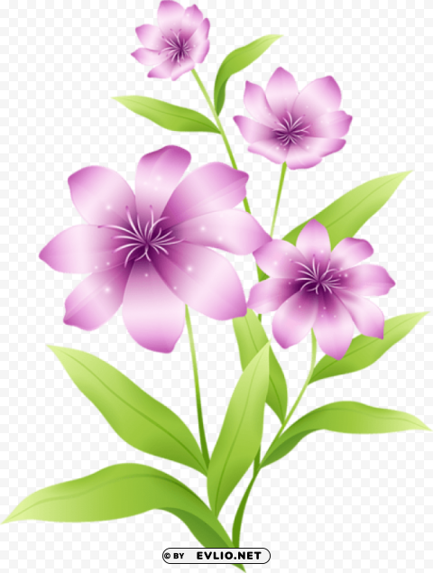 large light pink flowers Clear PNG pictures free
