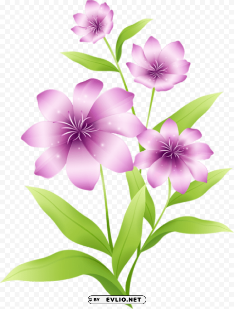 PNG image of large light pink flowers Clear PNG pictures free with a clear background - Image ID 8d71c782