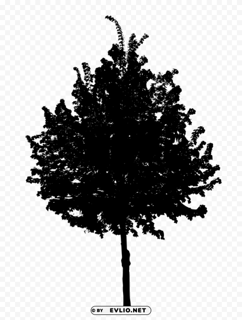 Black Tree PNG graphics with clear alpha channel broad selection