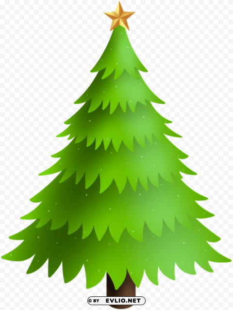 christmas pine tree PNG images with no background essential