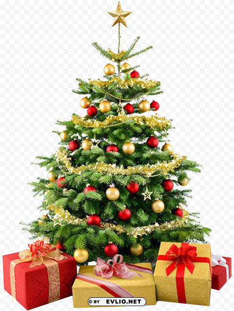 christmas tree - christmas tree no background Transparent PNG graphics variety