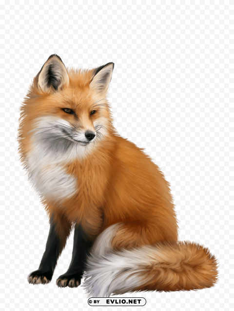 fox Isolated Element with Clear Background PNG