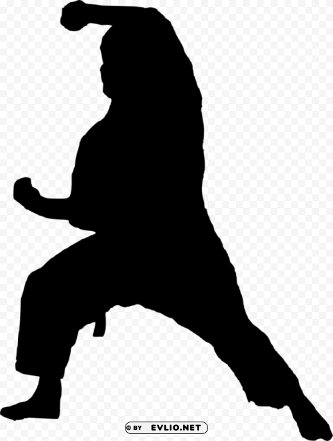 karate silhouette PNG images with transparent elements