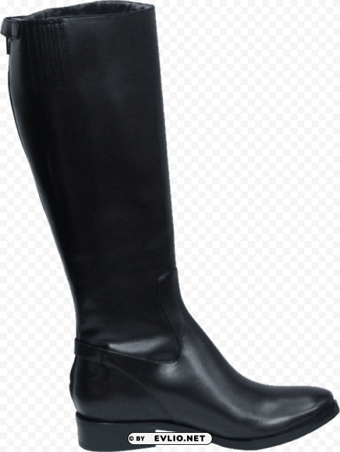 cole haan simona tall boot women Clear Background PNG Isolated Graphic
