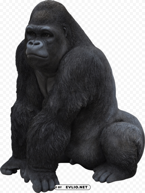 gorilla Isolated Design Element in Clear Transparent PNG png images background - Image ID c24575e2