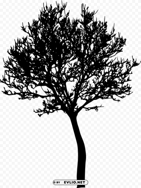 bare tree silhouette Isolated Character in Clear Background PNG