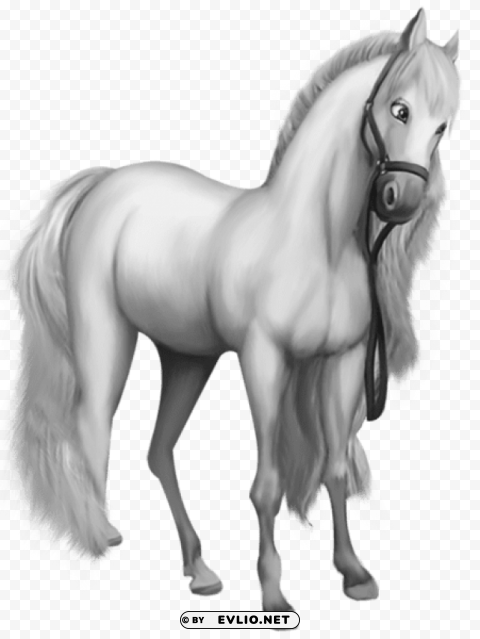 beautiful transparent white horse PNG for educational projects