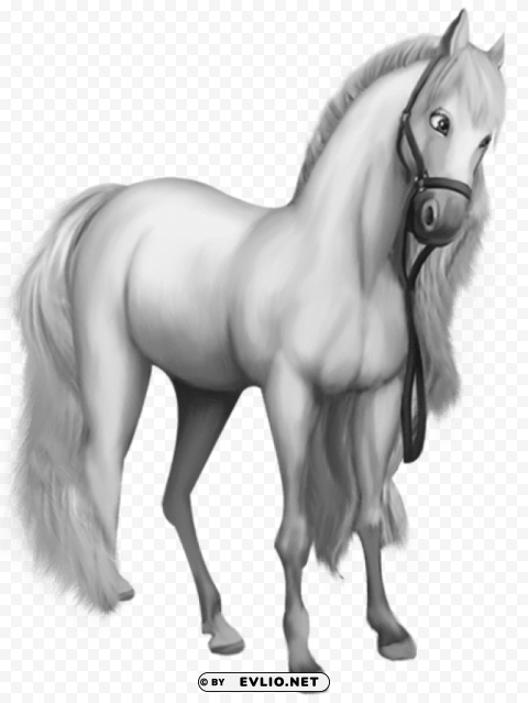 Beautiful Transparent White Horse PNG For Educational Projects