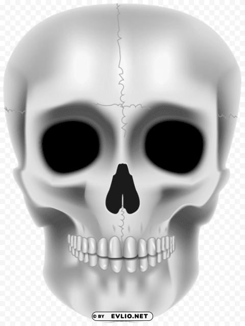 skull transparent Free PNG png images background -  image ID is b0ab174a