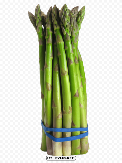 asparagus PNG files with no background assortment