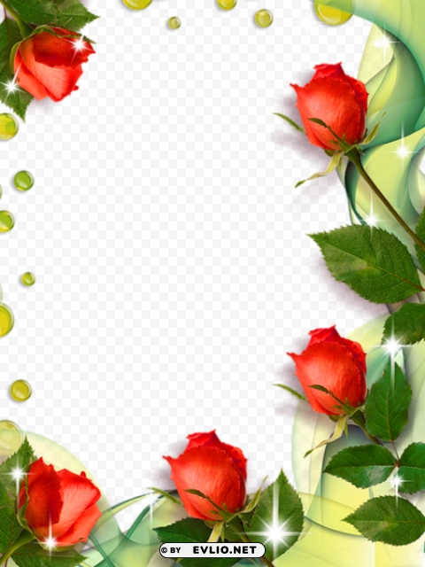 beautiful photo frame with roses Transparent graphics PNG