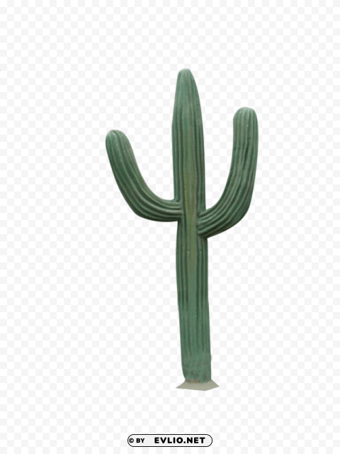 cactus 4 Transparent PNG photos for projects
