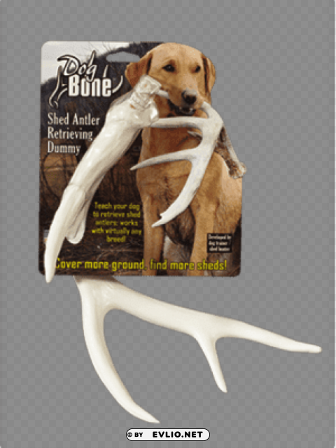 dog bone shed dummy retrieving antler by dog & Isolated Element in Transparent PNG