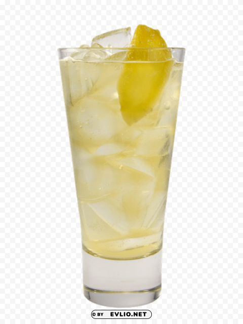ginger pic PNG Image Isolated with High Clarity