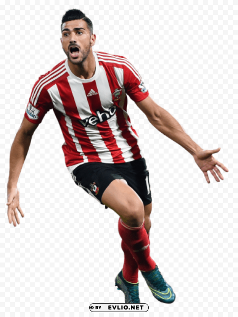 Download graziano pelle Transparent PNG Isolated Illustrative Element png images background ID d6983154