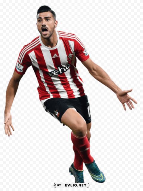 graziano pelle Transparent PNG Isolated Illustrative Element