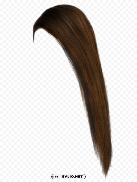 hair HighResolution Isolated PNG with Transparency