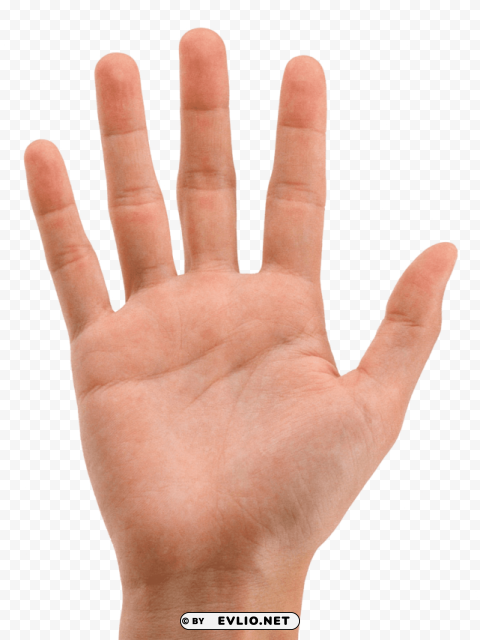 Hands PNG Objects