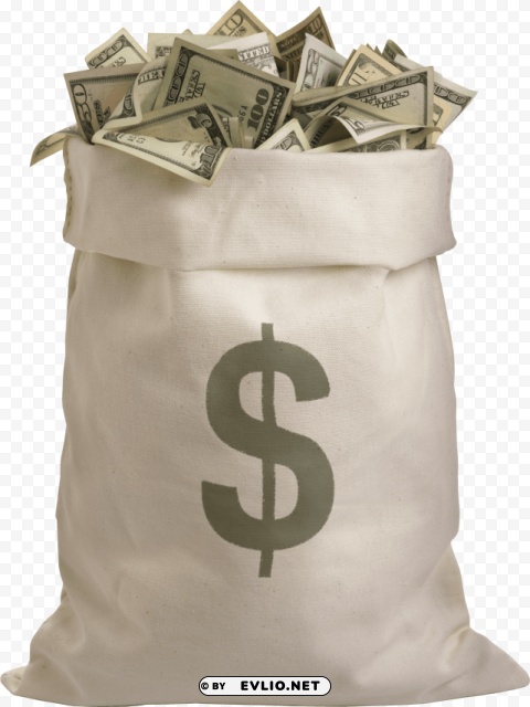 Money PNG Images For Websites