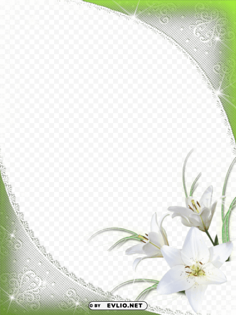 nice green- frame with white flowers PNG Graphic Isolated with Clear Background