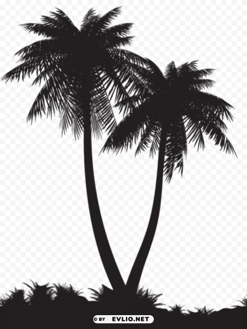 palm trees silhouette PNG images with clear cutout