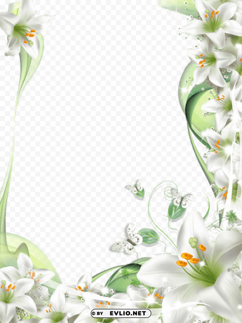 photo frame with white lilies flowers PNG Image with Isolated Artwork