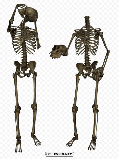skeleton skull PNG images for editing
