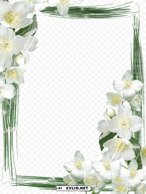 transparent green frame with white flowers Clean Background Isolated PNG Icon