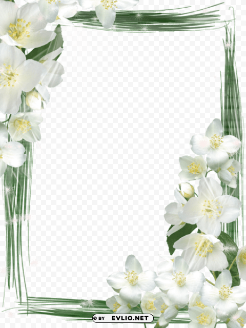 Transparent Green Frame With White Flowers Clean Background Isolated PNG Icon