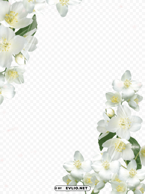 transparent white photo frame with white flowers Alpha PNGs