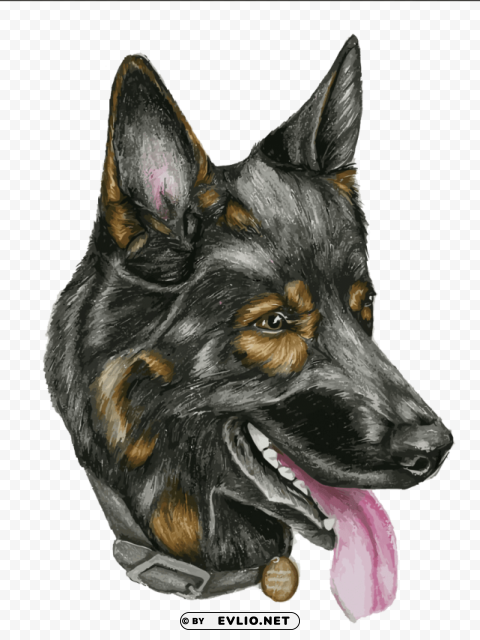 wild dogs Transparent PNG graphics variety